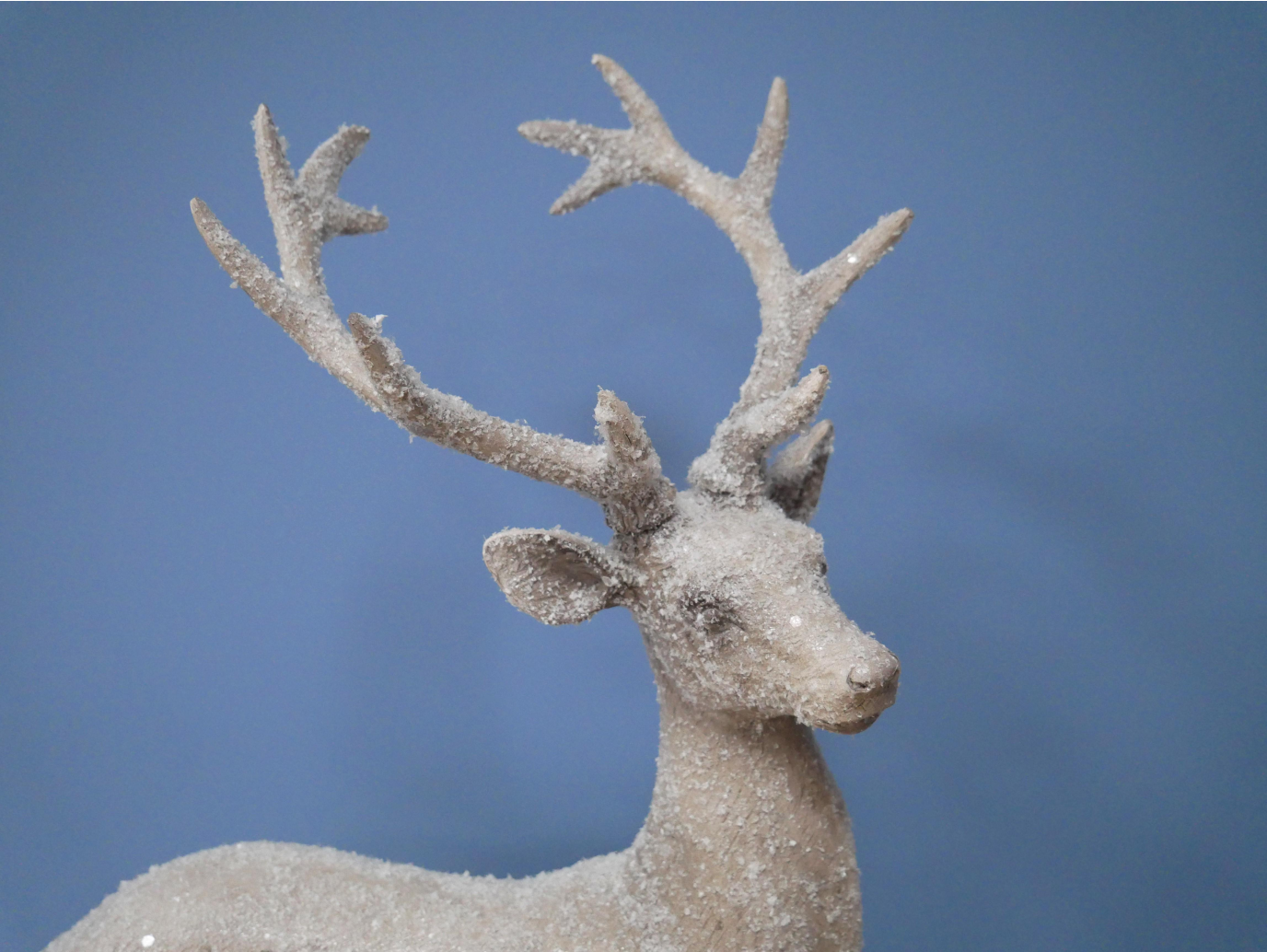 Stag On Ball