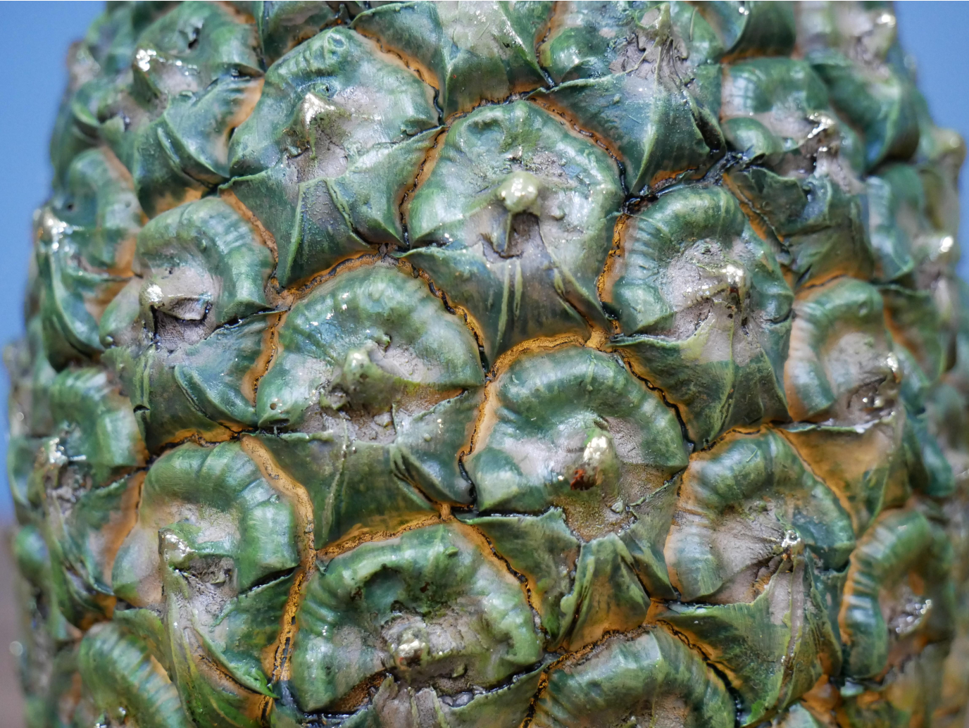 Pineapple With Shades
