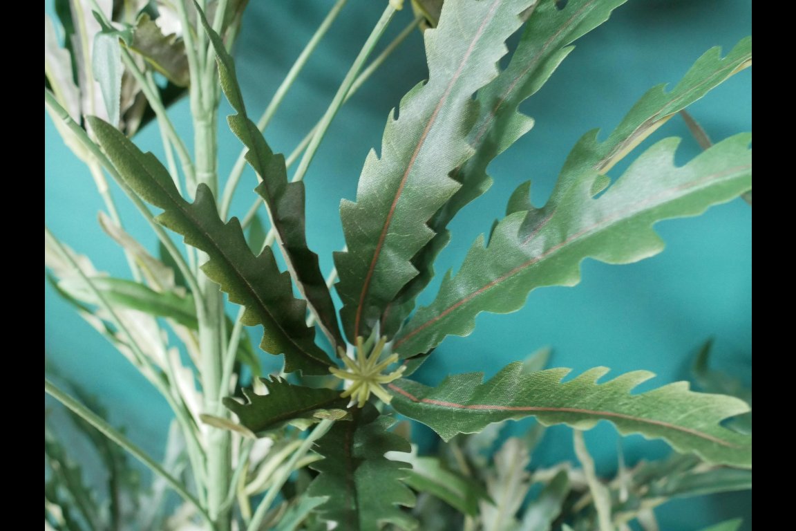 Artificial False Aralia