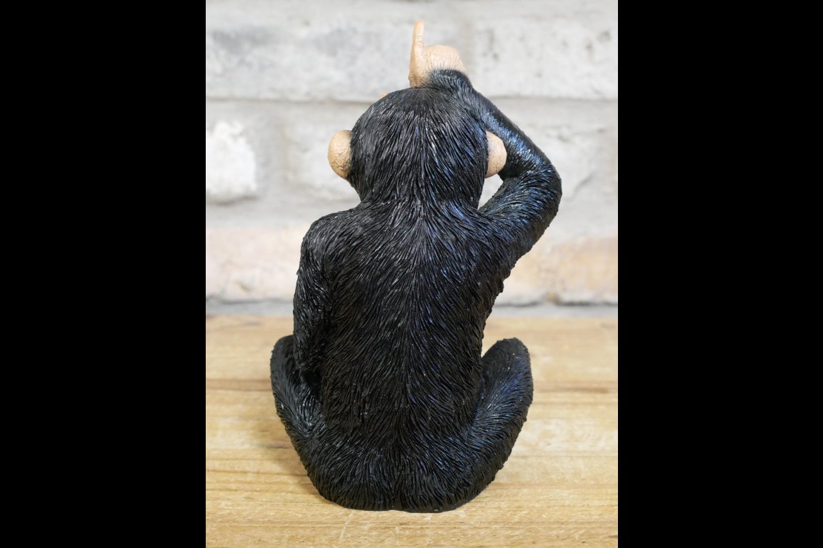 Little Loser Monkey