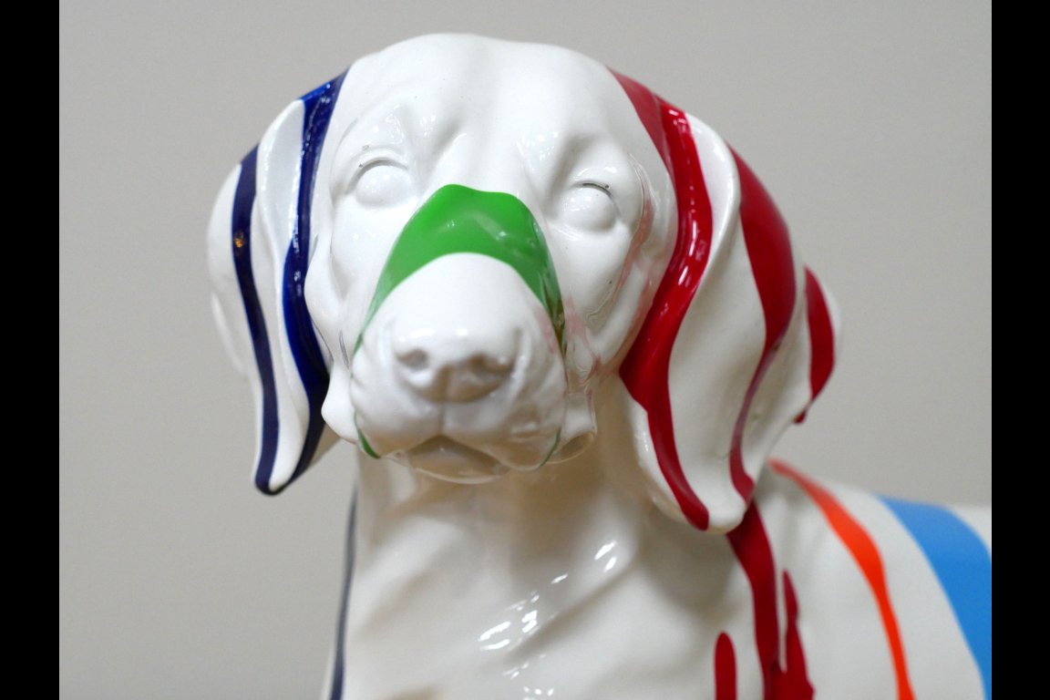 Dog With Stripes