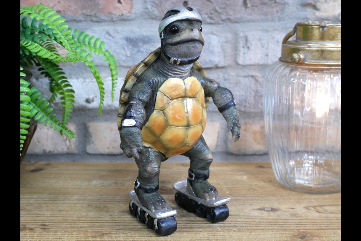 Speedy Tortoise