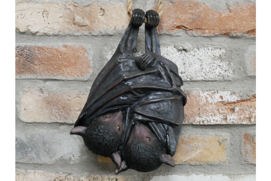 Hanging Bats