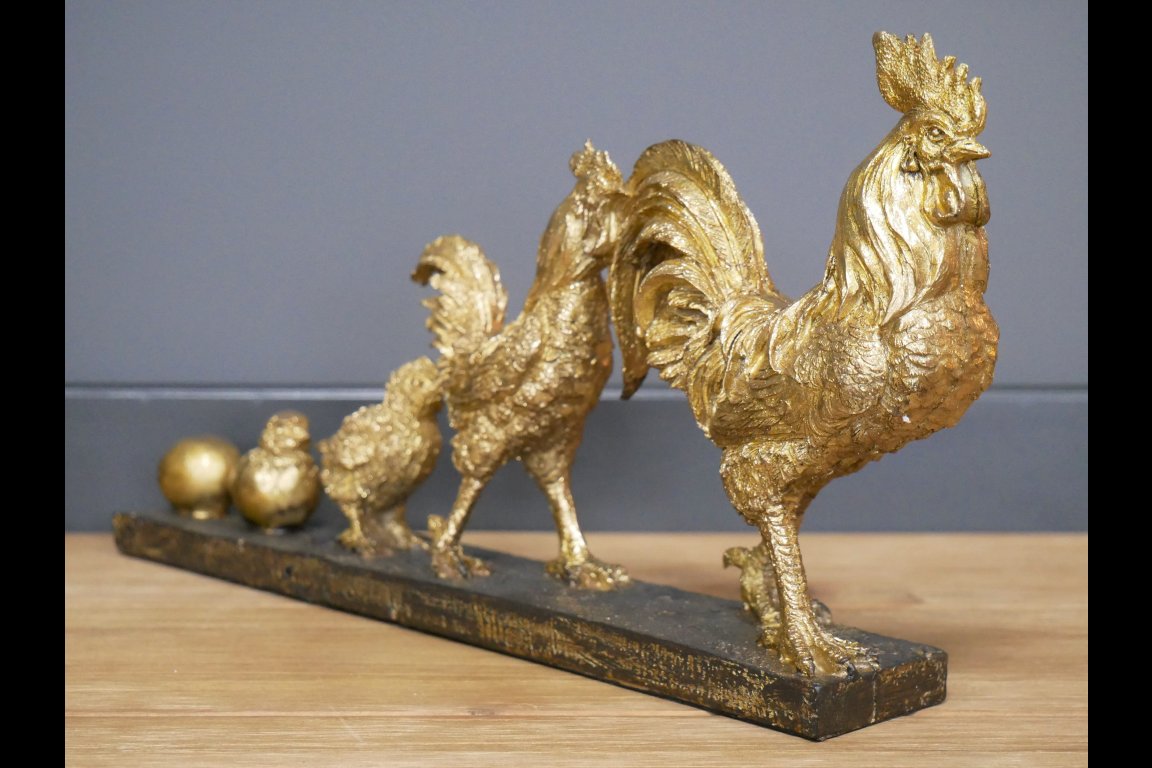 Chicken Evolution