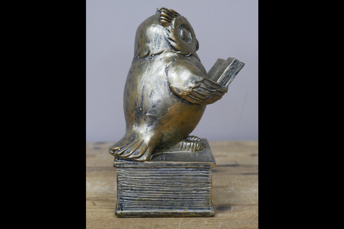 Reading Owl