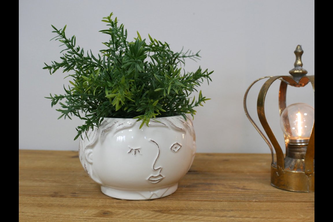 Face Vase
