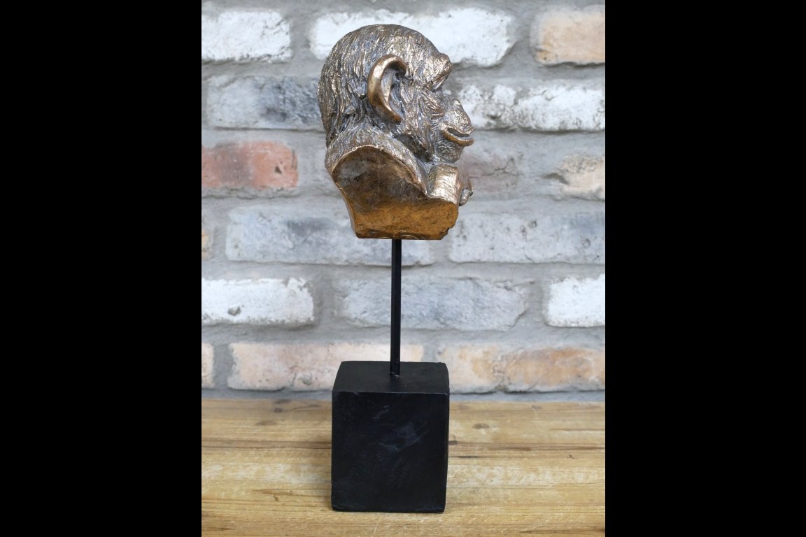 Monkey Head