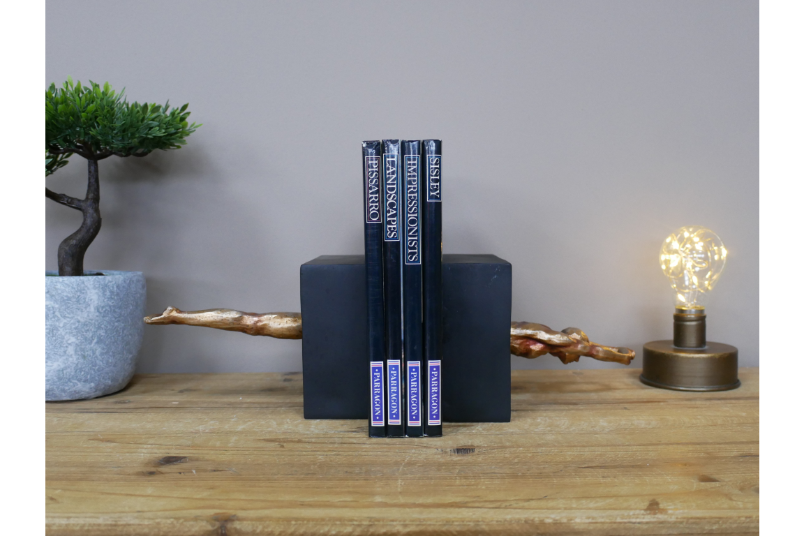 Diving Bookends