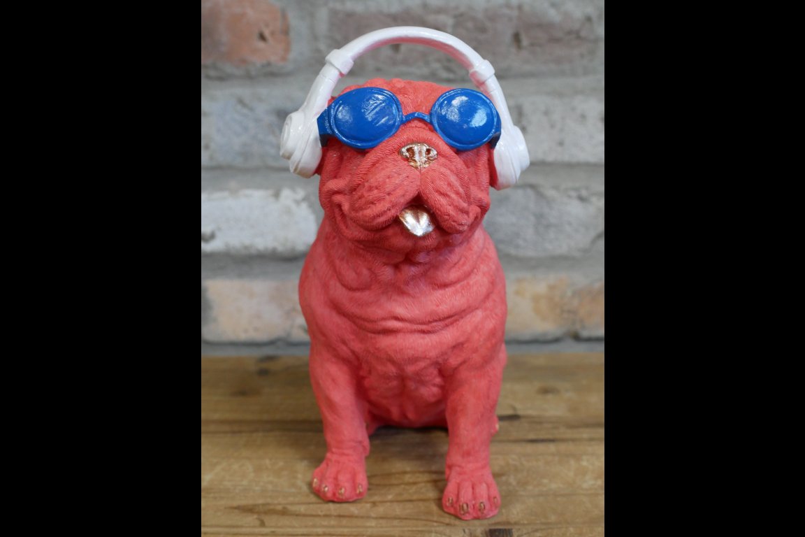 Dog With Headphones