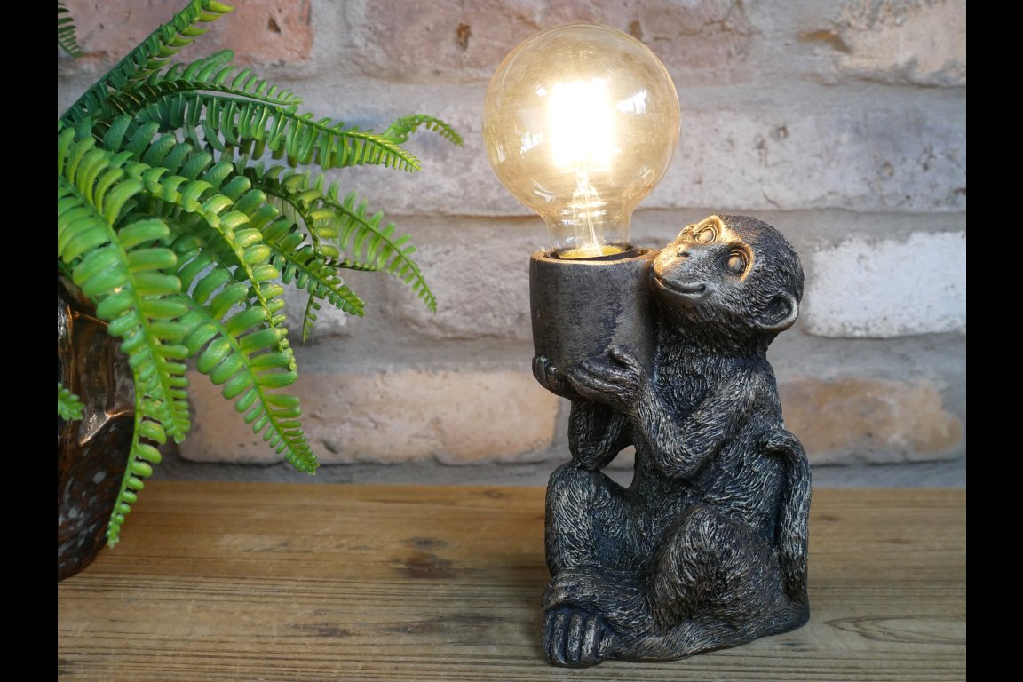 Monkey Light
