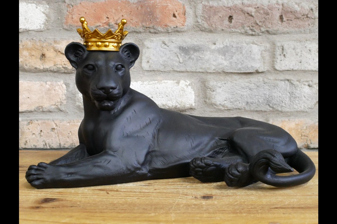 Laying Lion