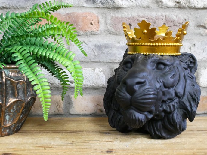Lion Head With Crown