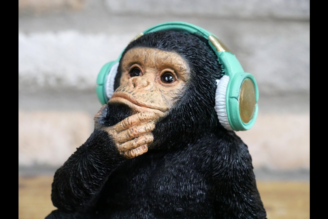 Monkey With Headphones