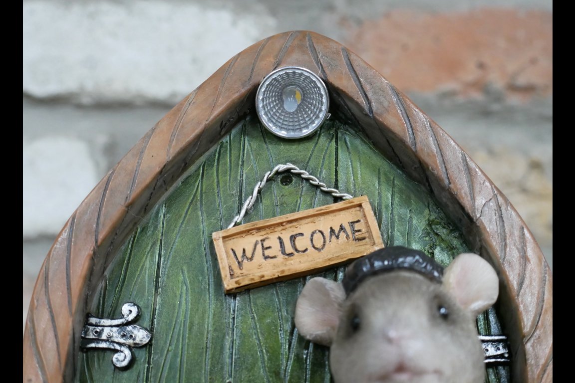 Mouse Door - Solar Light