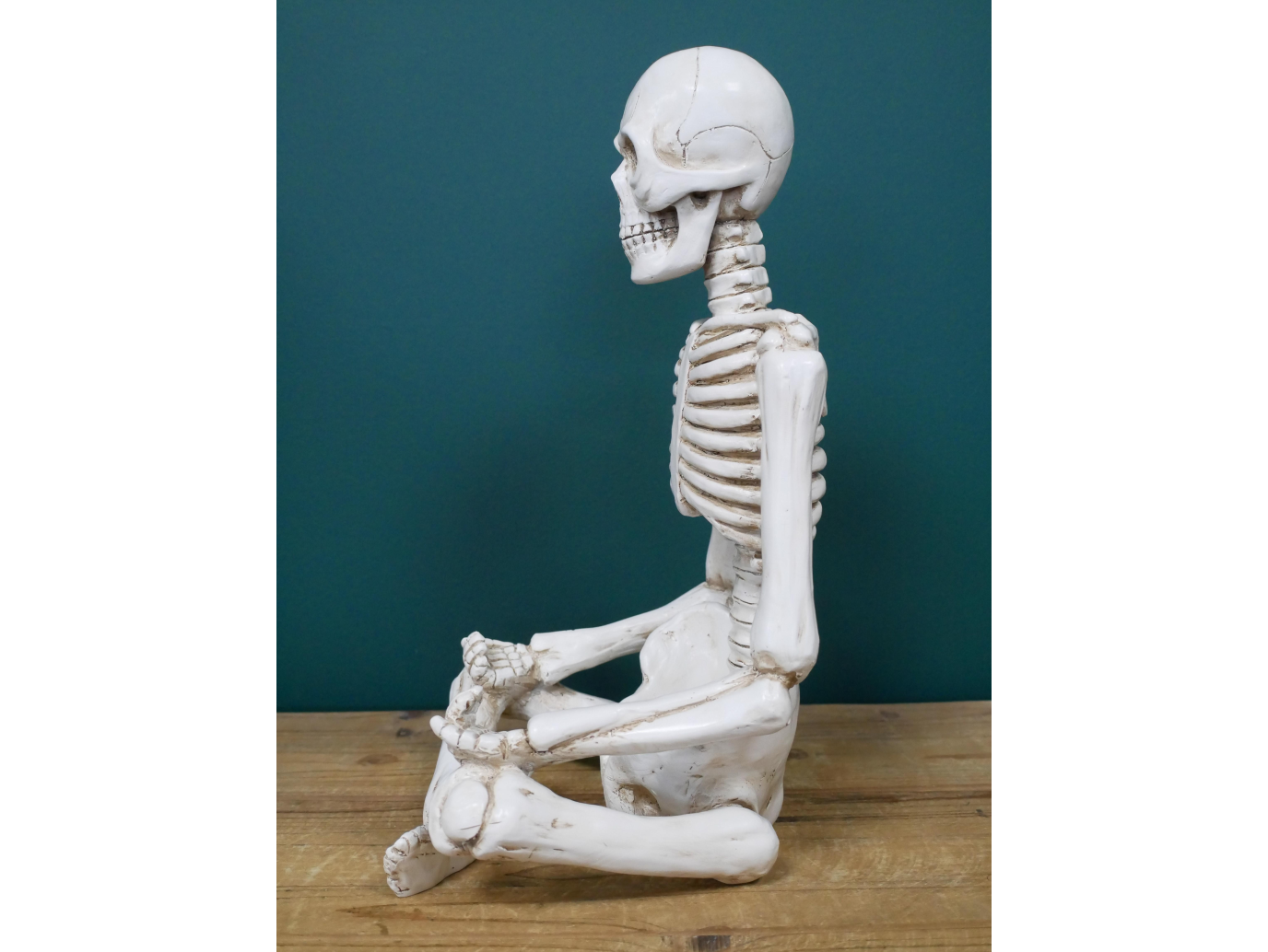 Yoga Skeleton