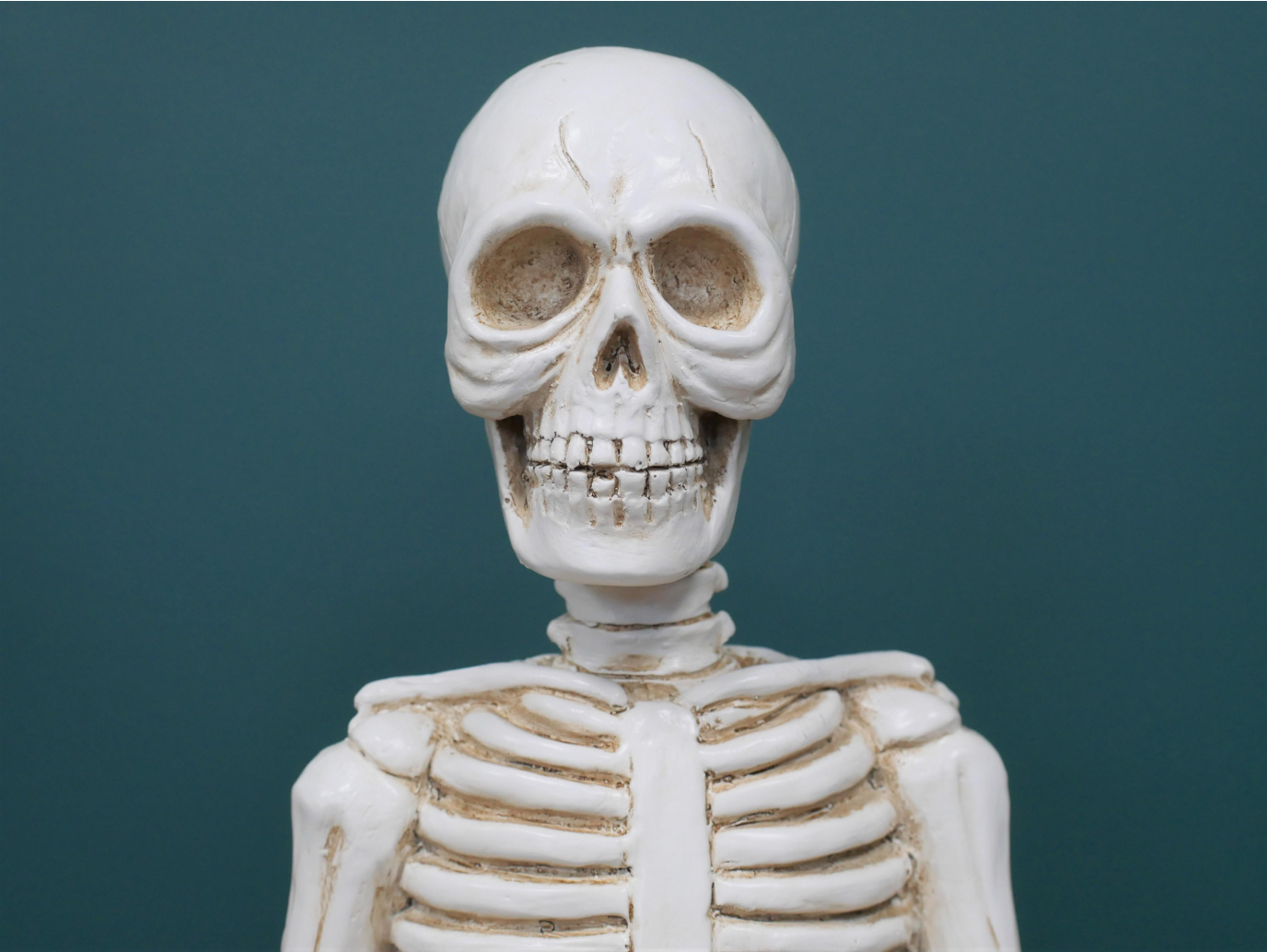 Yoga Skeleton