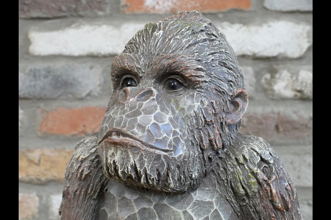 Monkey