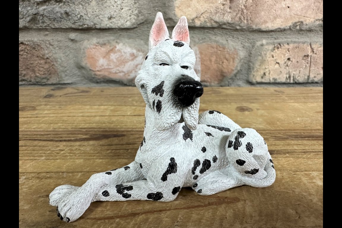 Dalmatian