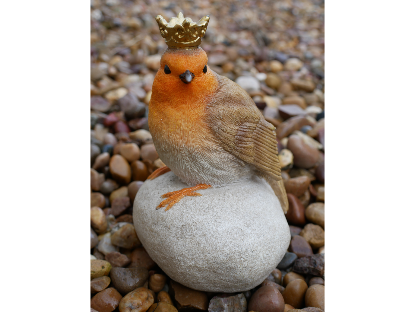 Robin On Stone
