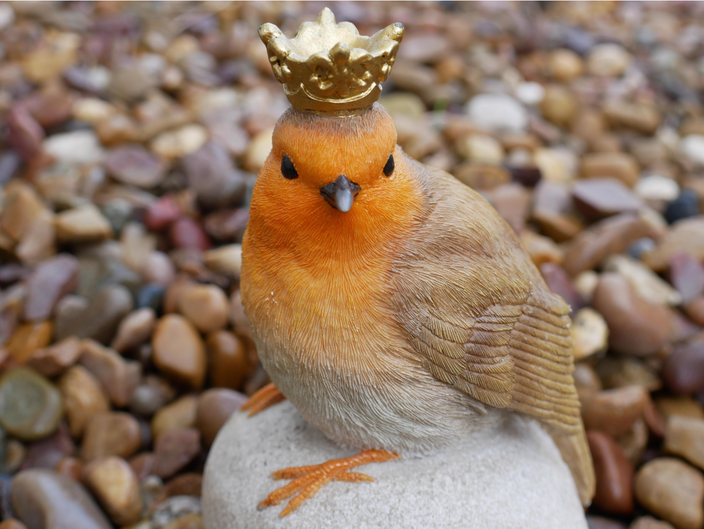 Robin On Stone