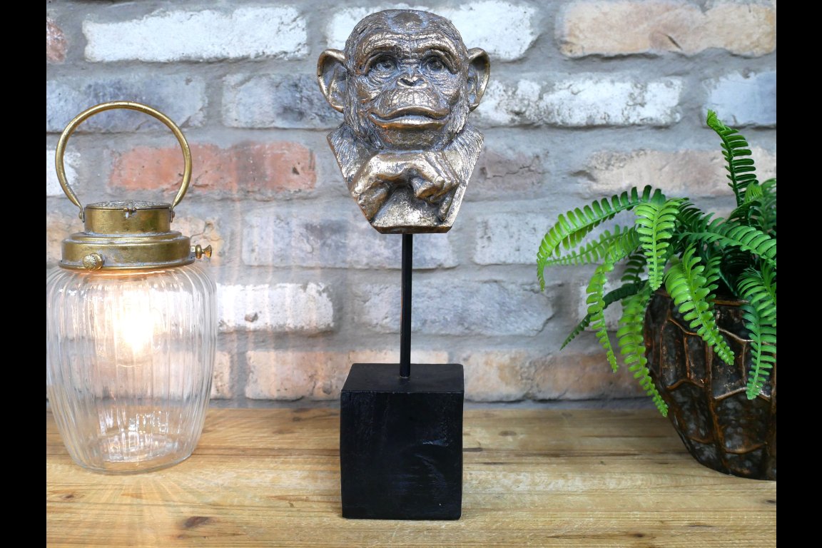 Monkey Head
