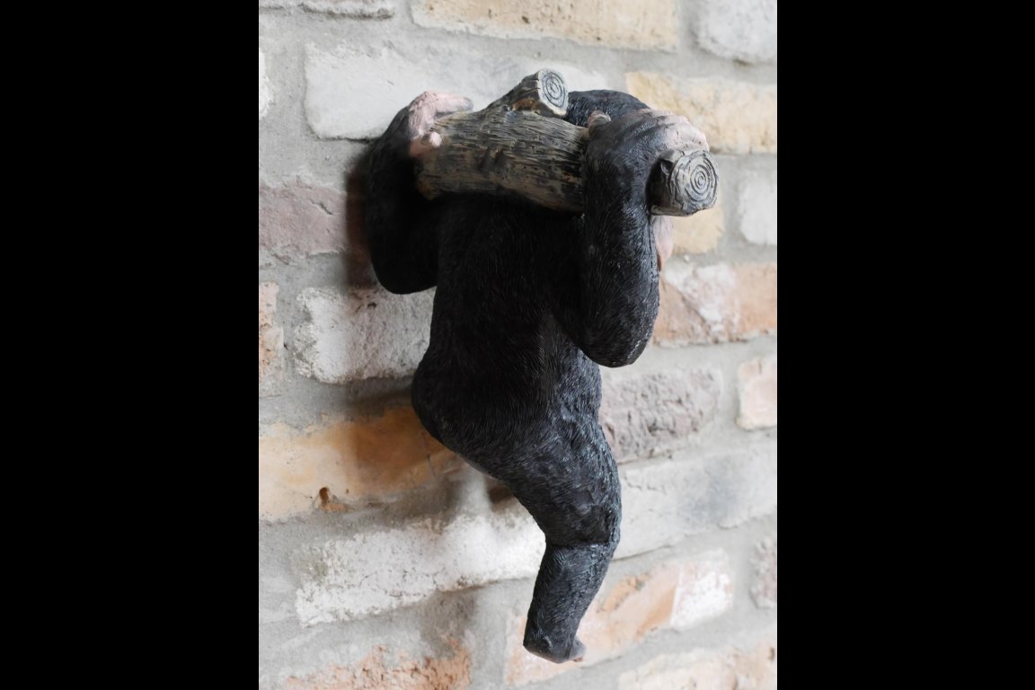Monkey Hanging On A Branch
