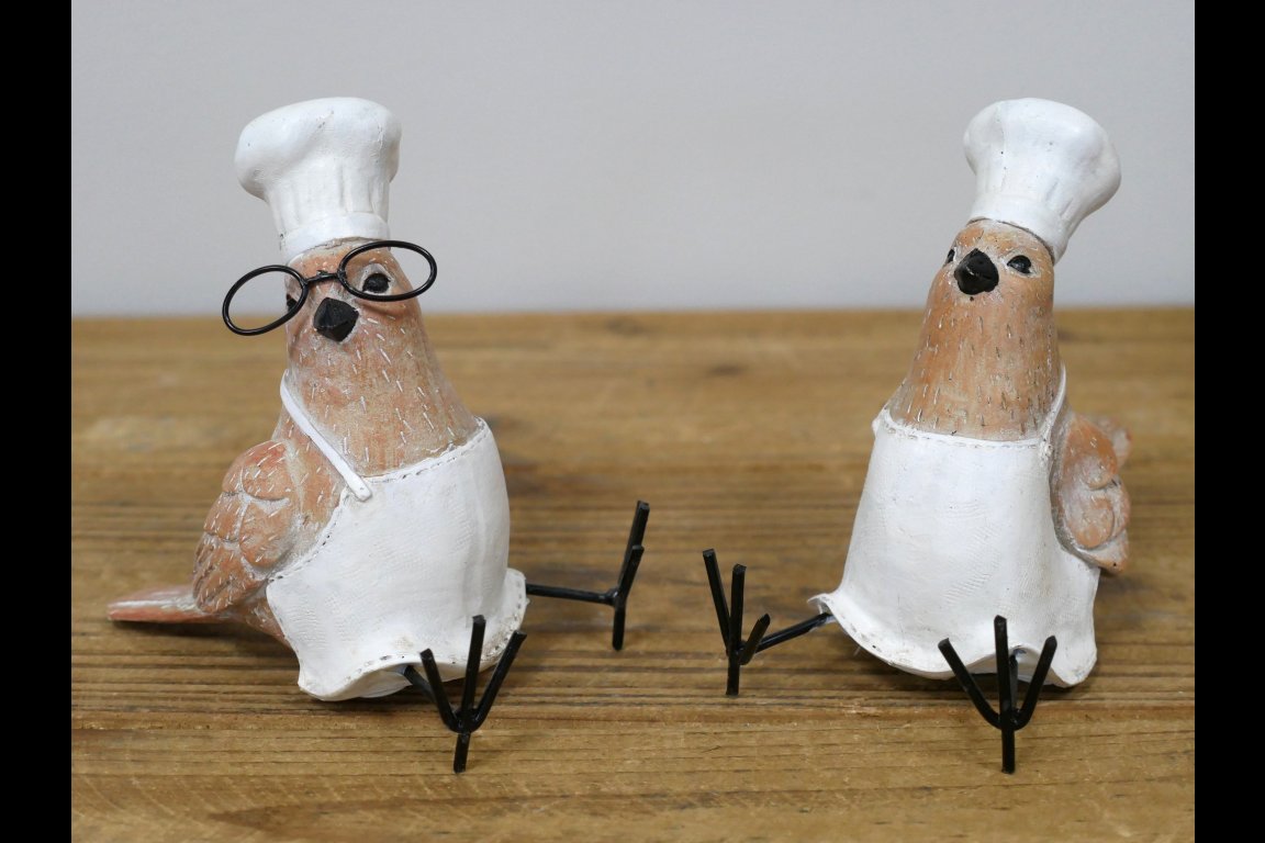 Bird Chef