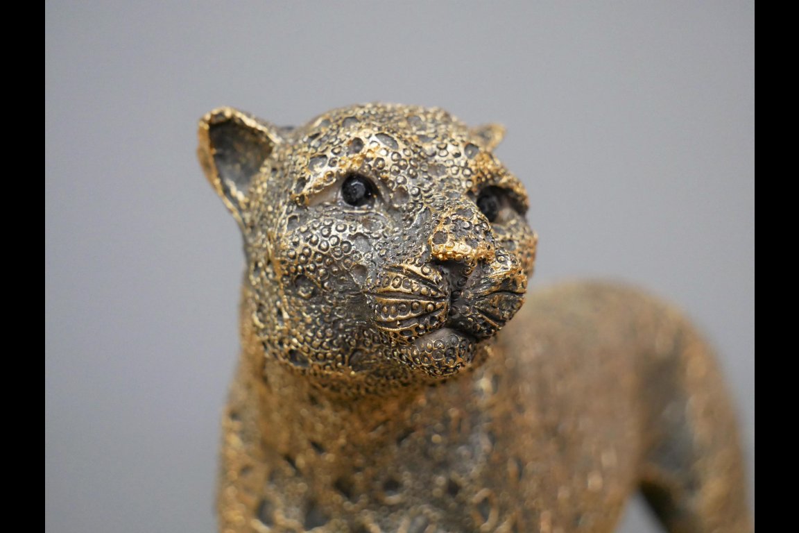Leopard