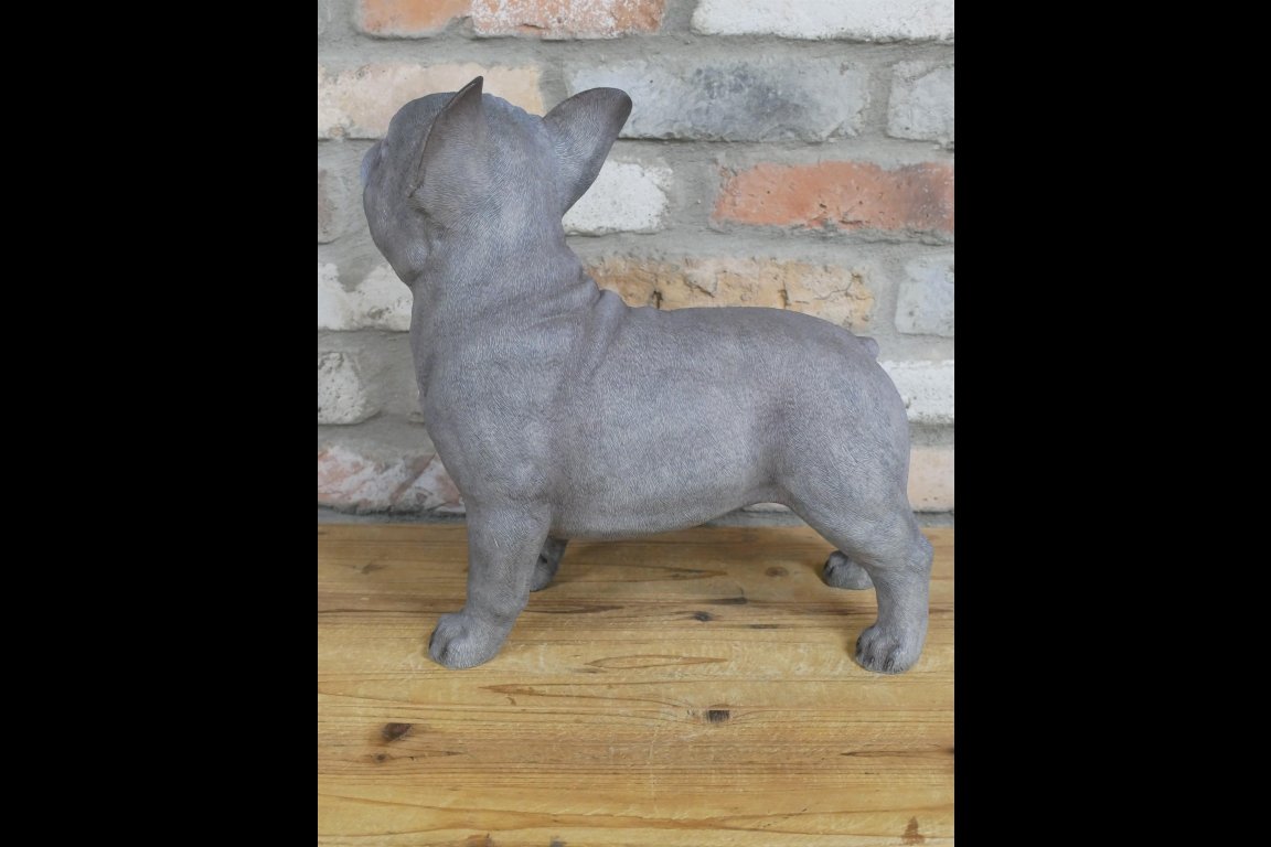 Standing Dog (Frenchie)
