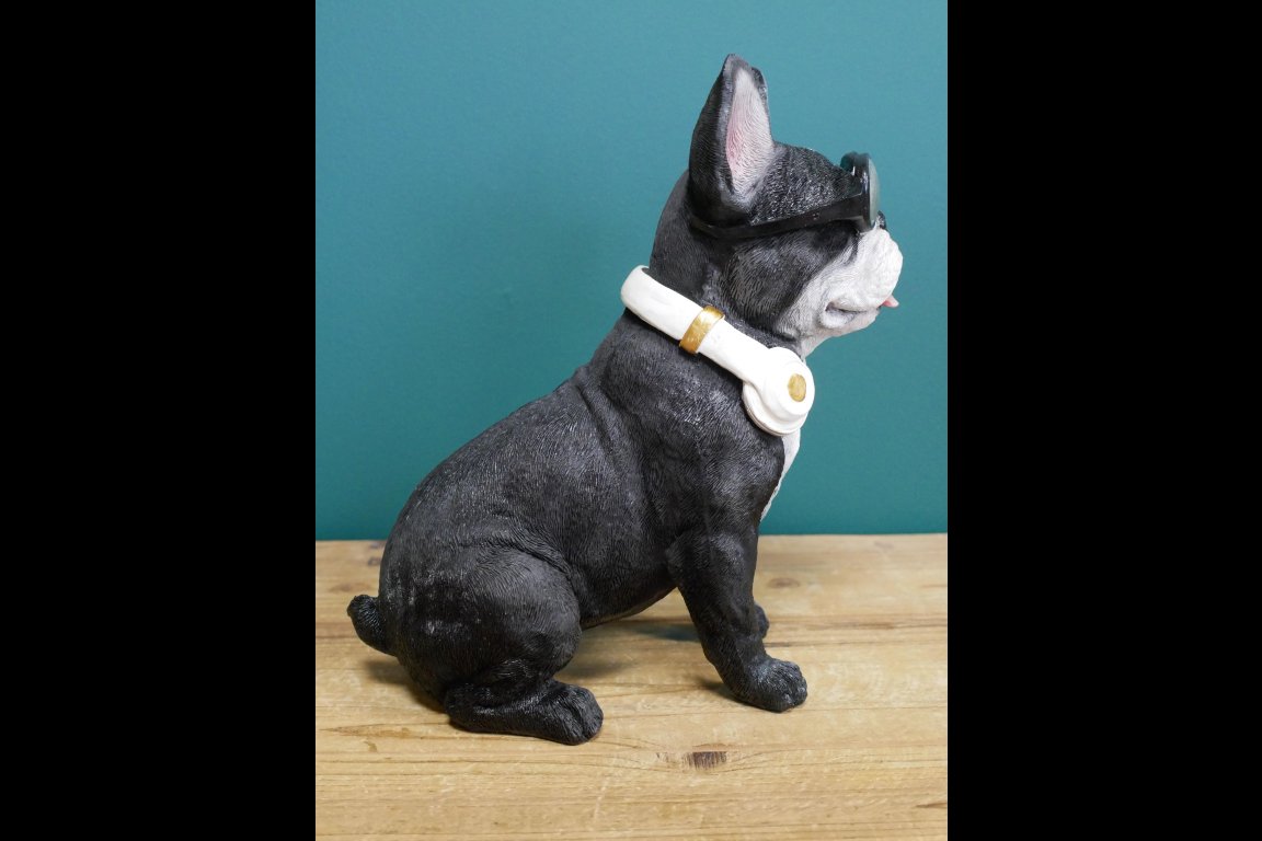 Dog With Headphones