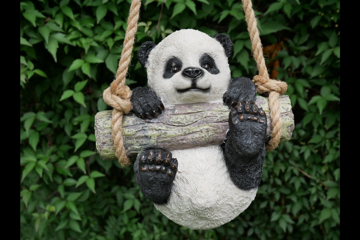 Hanging Panda