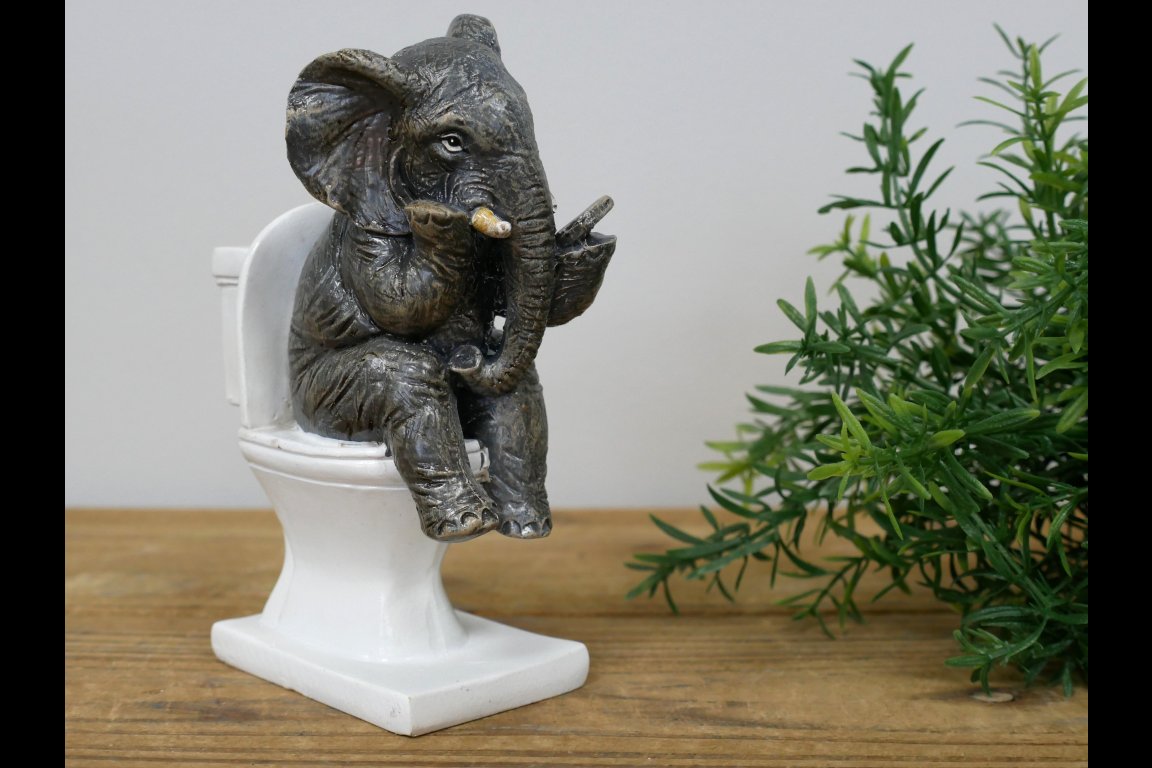 Elephant On The Loo