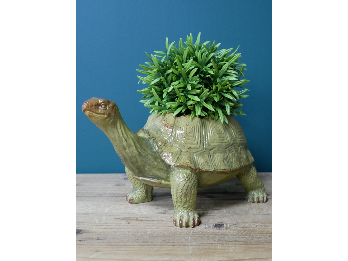 Tortoise Planter