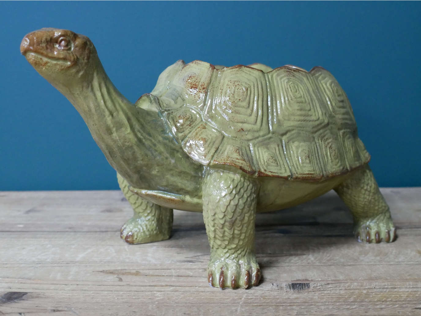 Tortoise Planter