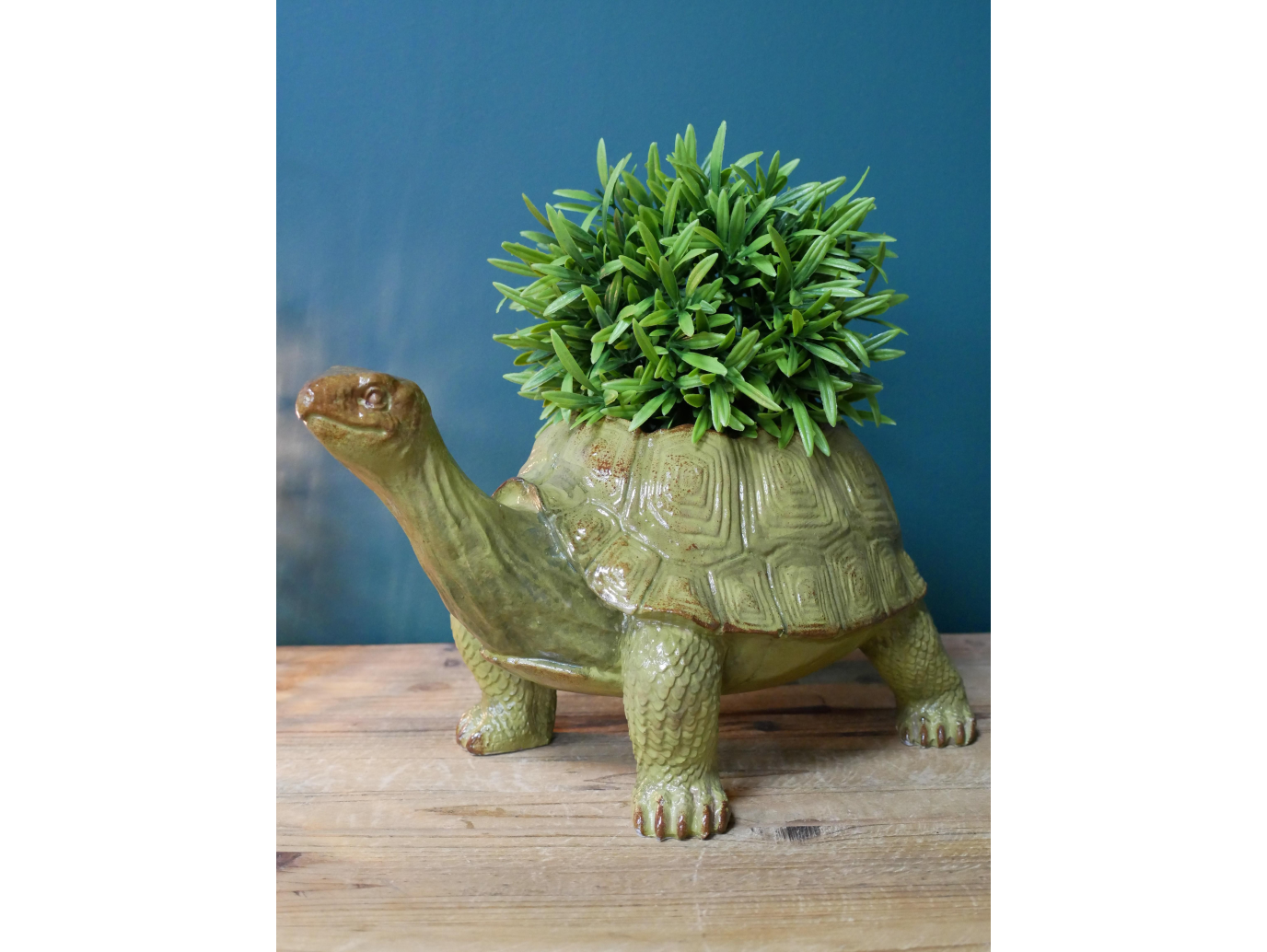 Tortoise Planter