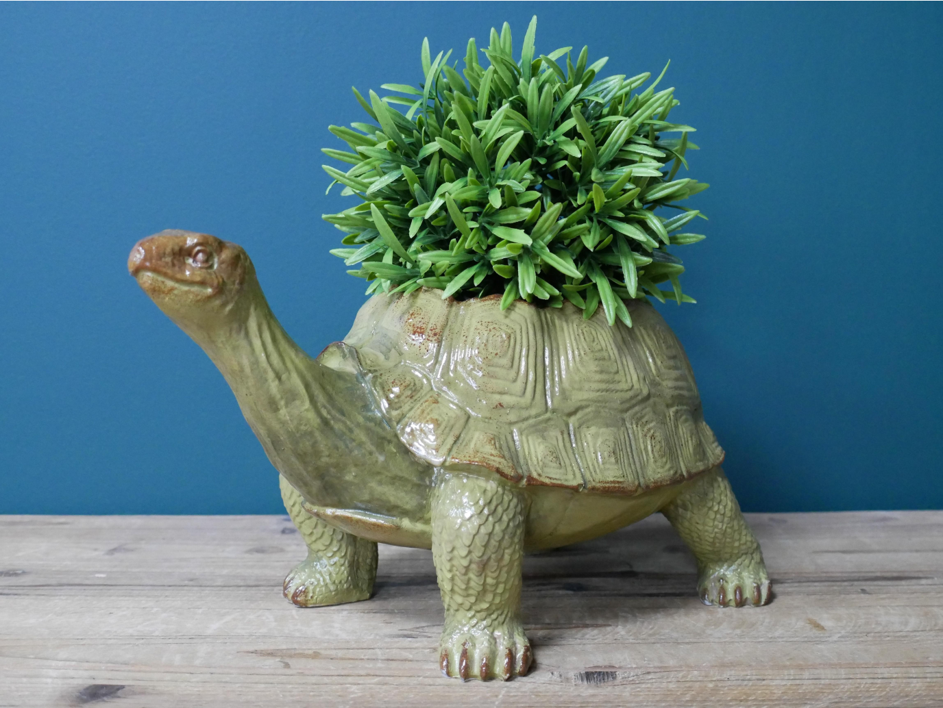 Tortoise Planter