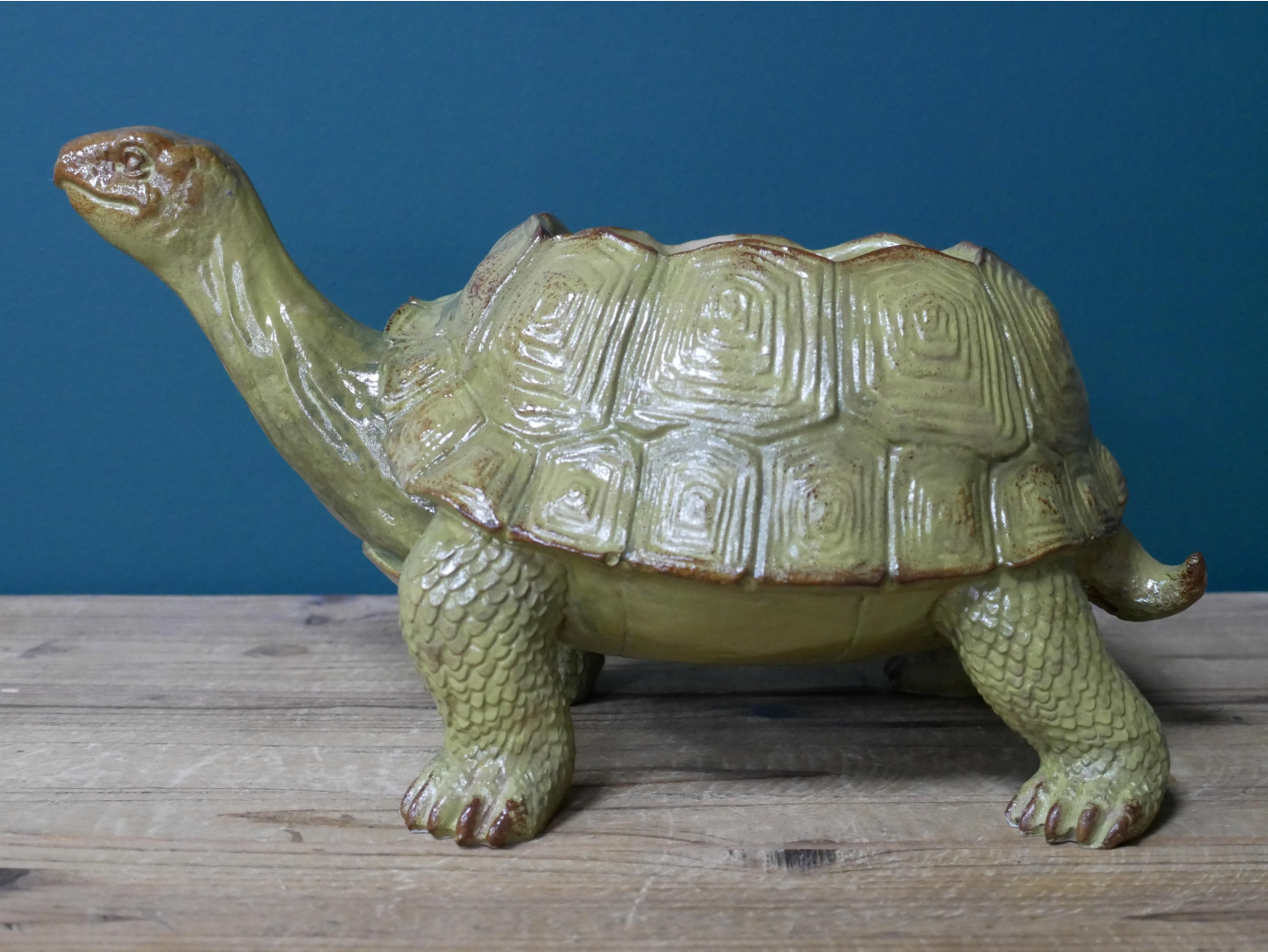 Tortoise Planter