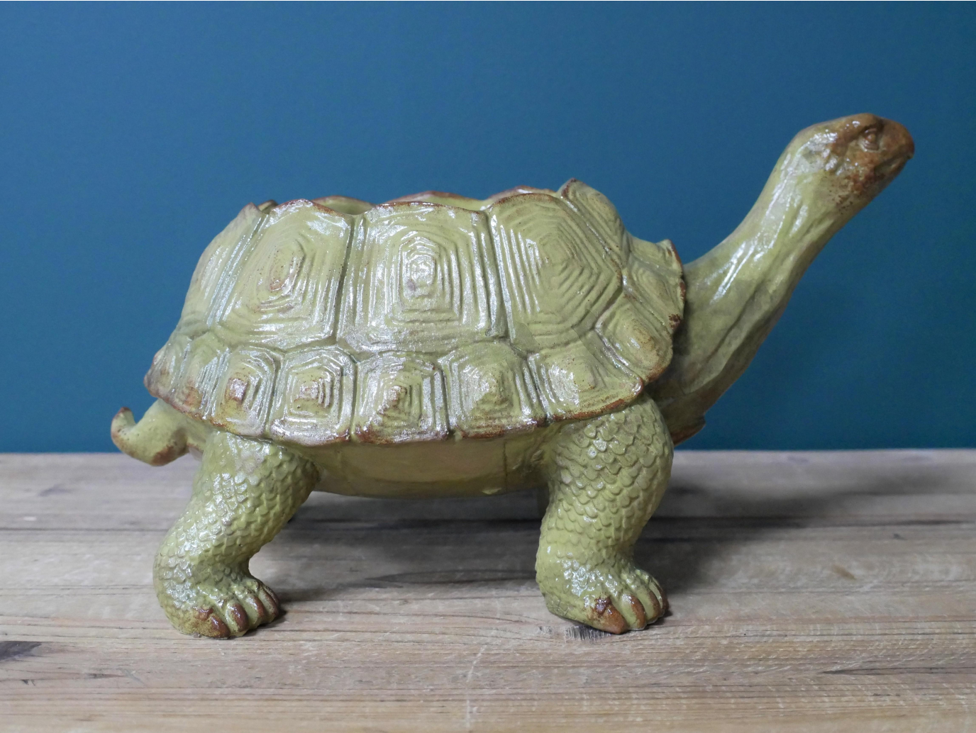 Tortoise Planter