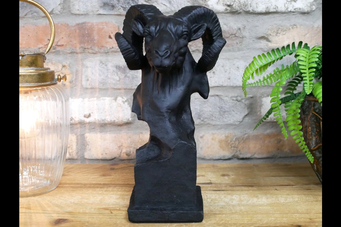 Ram Head