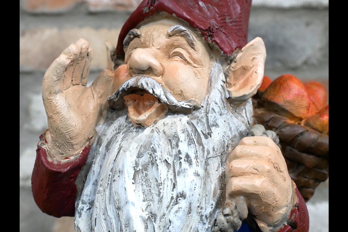 Gnome