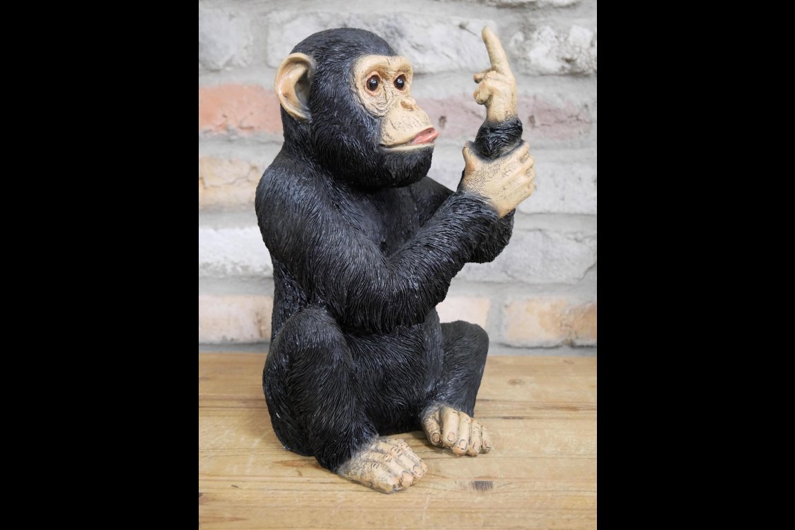 Up Yours Monkey