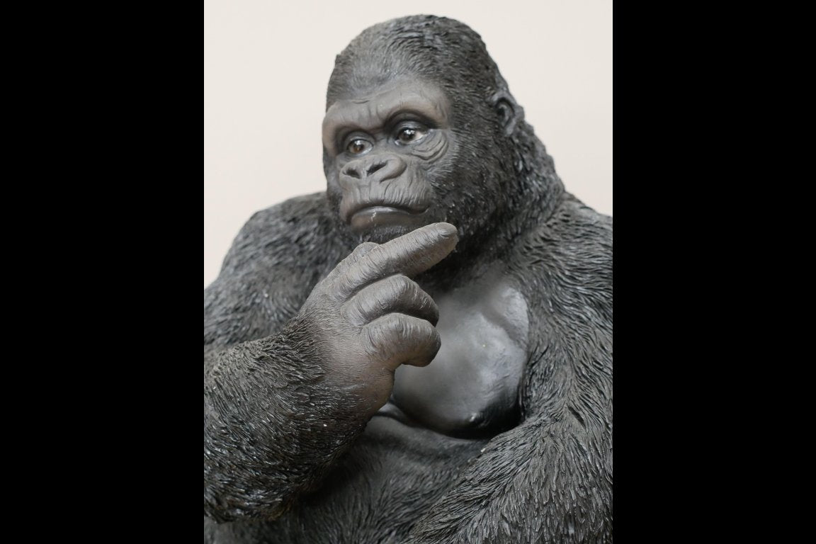 Up Yours Gorilla