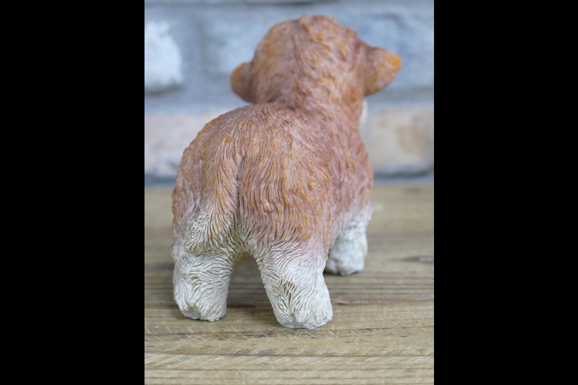 Tiny Baby Cow