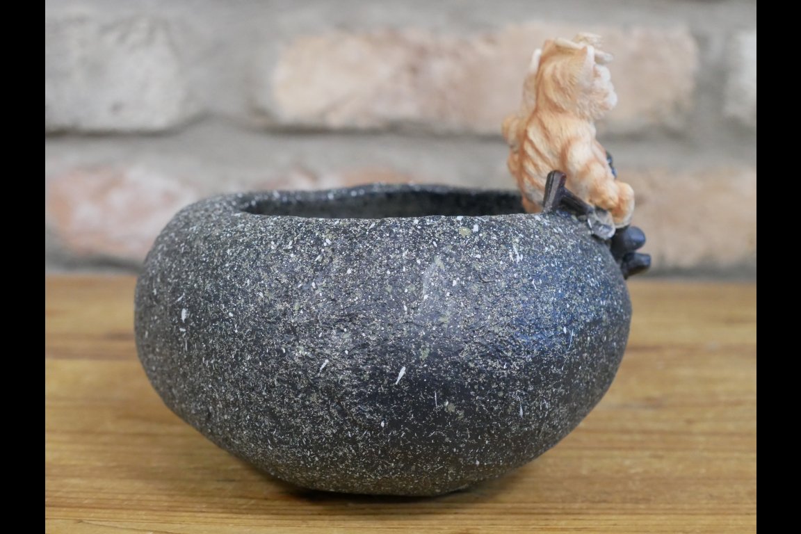 Small Cat Trough