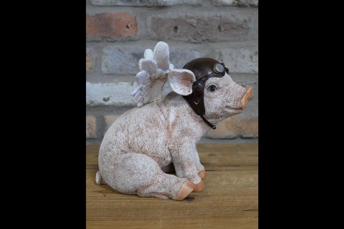 Flying Pig