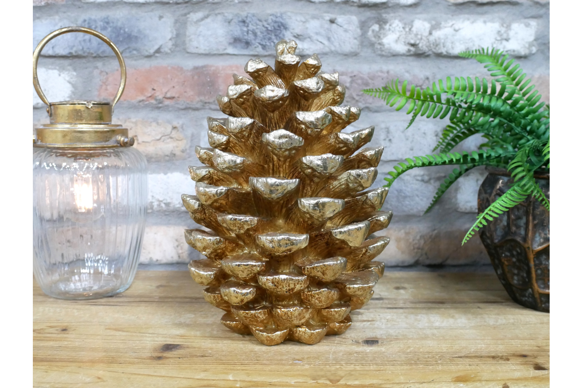 Giant Pinecone