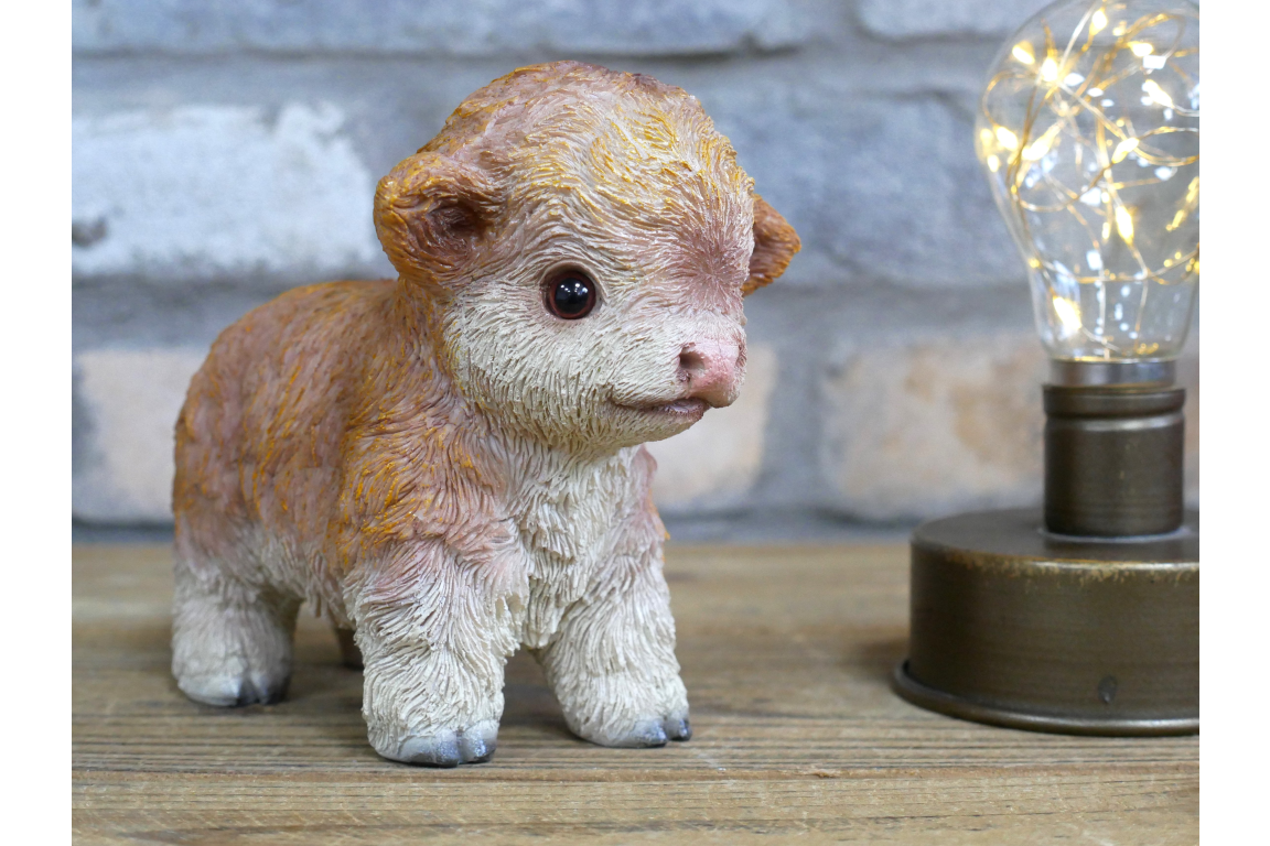 Tiny Baby Cow