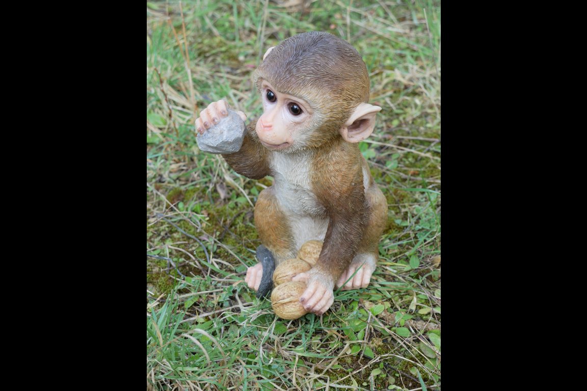 Monkey