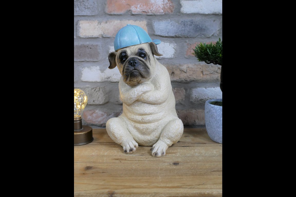 Arms Crossed Bulldog