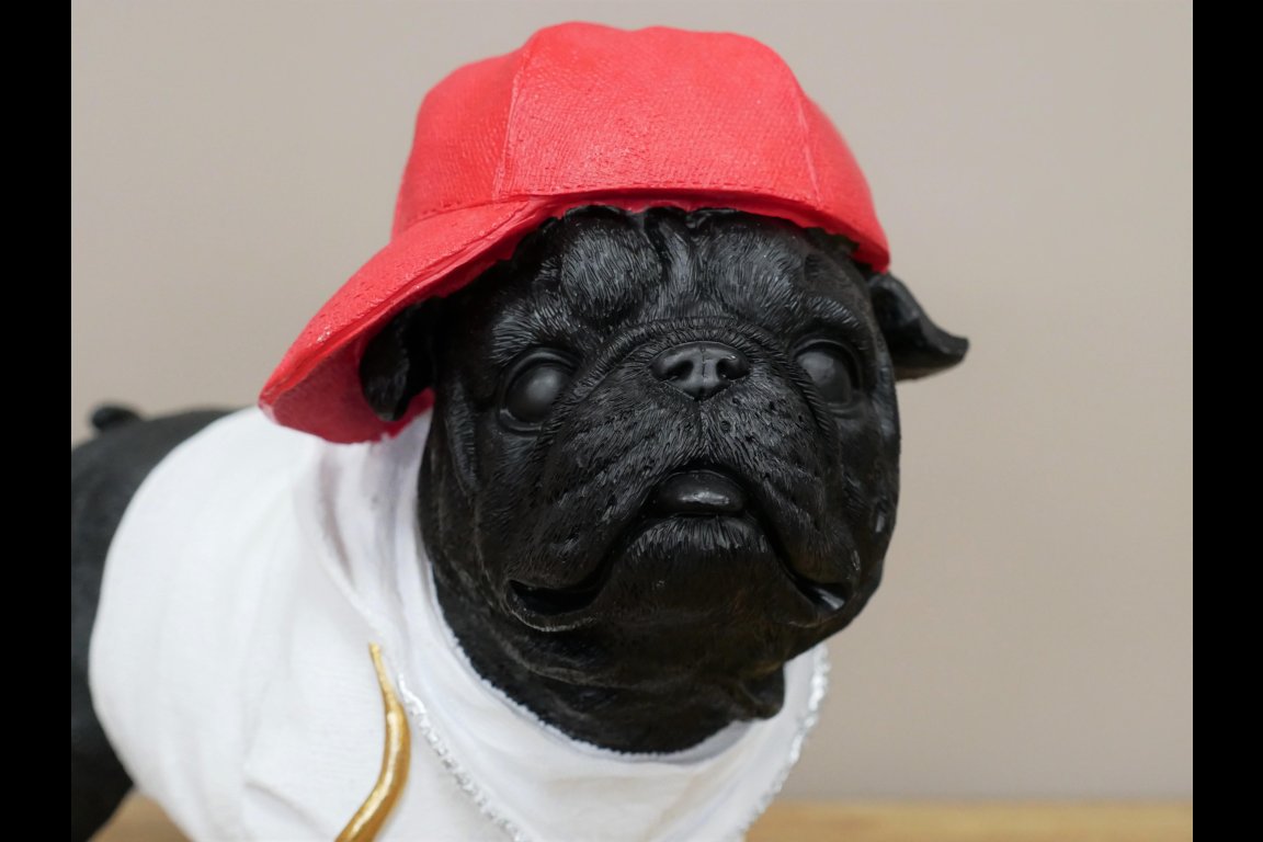 Dog With Cap